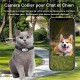 Caméra Collier pour Chat et Chien