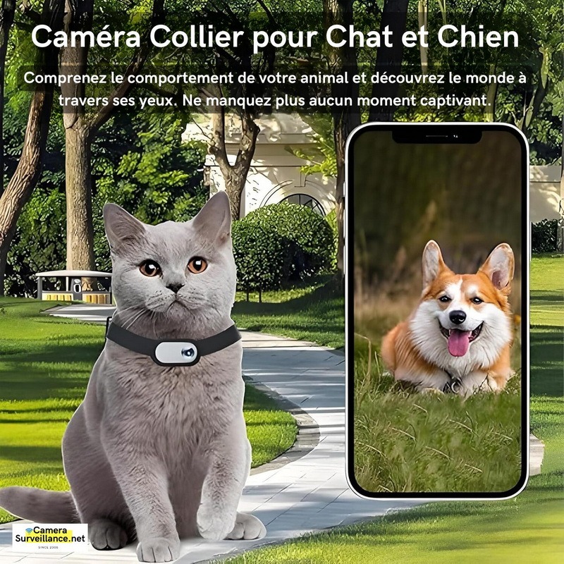 Caméra collier chat chien avec carte mémoire