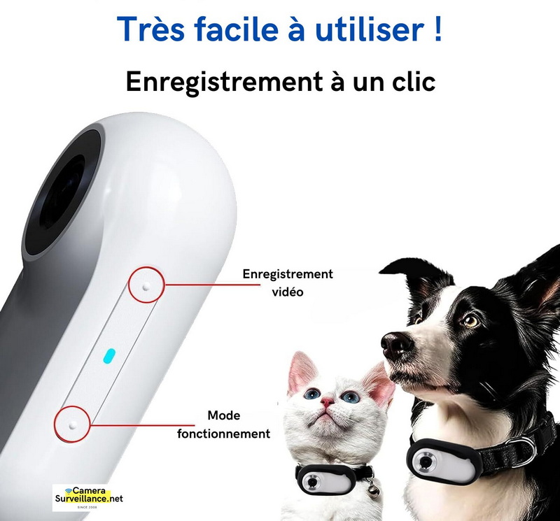 Mini caméra chien chat